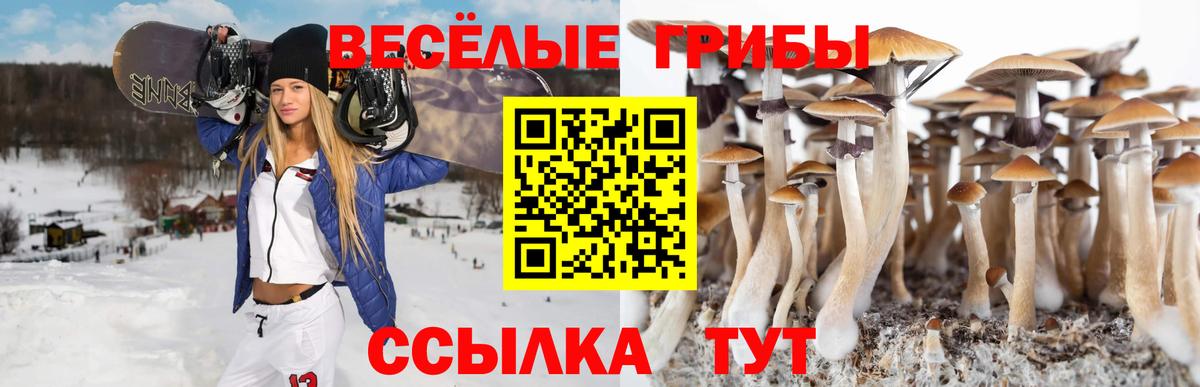 Псилоцибиновые грибы мицелий Ивантеевка